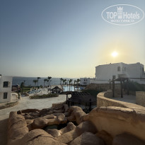 фото из отзыва ID 2738310