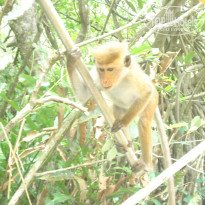 фото из отзыва ID 2738317