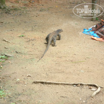 фото из отзыва ID 2738317