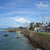 фото из отзыва ID 2738317