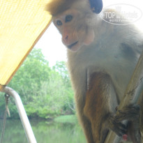 фото из отзыва ID 2738317