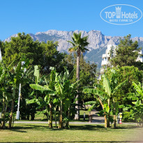 фото из отзыва ID 2738318