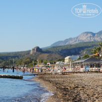 фото из отзыва ID 2738318