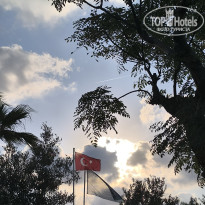 фото из отзыва ID 2738344