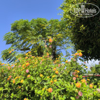 фото из отзыва ID 2738344