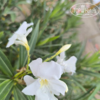 фото из отзыва ID 2738344