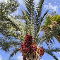 фото из отзыва ID 2738344