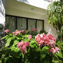 фото из отзыва ID 2730901