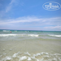 фото из отзыва ID 2730901