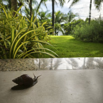 фото из отзыва ID 2730901