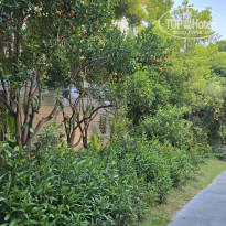 фото из отзыва ID 2738358