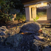 фото из отзыва ID 2738358