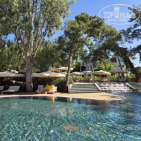 фото из отзыва ID 2738358