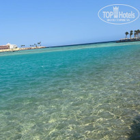 фото из отзыва ID 2738365