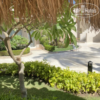 фото из отзыва ID 2738369