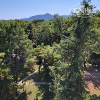 фото из отзыва ID 2738368