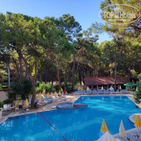 фото из отзыва ID 2738368