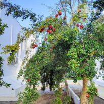 фото из отзыва ID 2738380