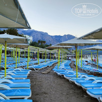 фото из отзыва ID 2738380