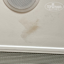 фото из отзыва ID 2737736