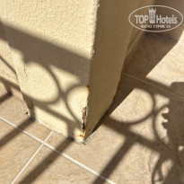 фото из отзыва ID 2737736