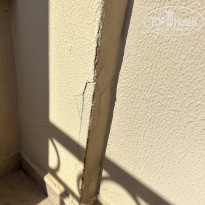 фото из отзыва ID 2737736