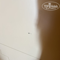 фото из отзыва ID 2737736