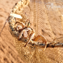 фото из отзыва ID 2733501