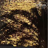 фото из отзыва ID 2733501