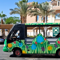 фото из отзыва ID 2733501