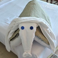 фото из отзыва ID 2733501