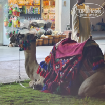 фото из отзыва ID 2733501