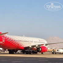 фото из отзыва ID 2733501