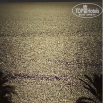 фото из отзыва ID 2733501