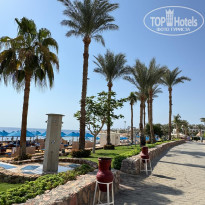 фото из отзыва ID 2738390