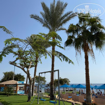 фото из отзыва ID 2738390