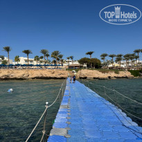 фото из отзыва ID 2738390