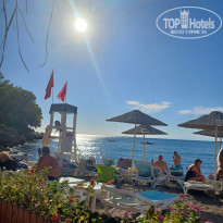 фото из отзыва ID 2738352