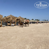 фото из отзыва ID 2738153