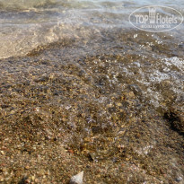 фото из отзыва ID 2738153