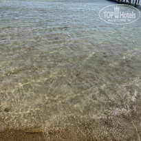 фото из отзыва ID 2738153