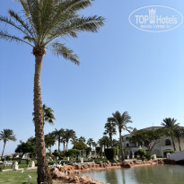 фото из отзыва ID 2738153