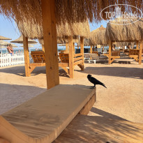 фото из отзыва ID 2738153