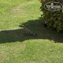 фото из отзыва ID 2738401