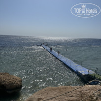 фото из отзыва ID 2738401