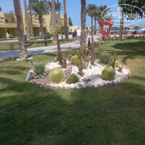 фото из отзыва ID 2738370