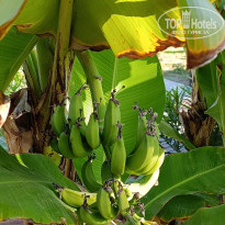 фото из отзыва ID 2738403