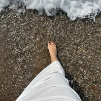 фото из отзыва ID 2738407