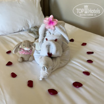 фото из отзыва ID 2738429