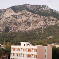 фото из отзыва ID 2738435